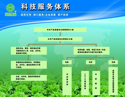 構建高效科技服務體系 以技術服務為核心驅動